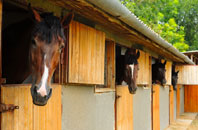 free Balinoe stable construction quotes
